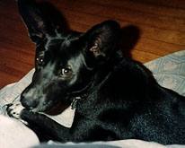 Lena